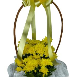 Cesta em Crisântemos Pequena