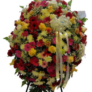 Coroa Especial 01