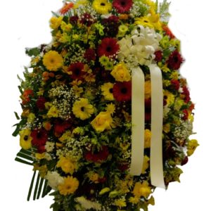 Coroa Especial 02