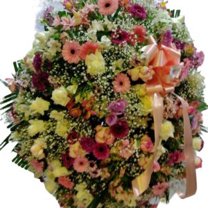 Coroa especial 03