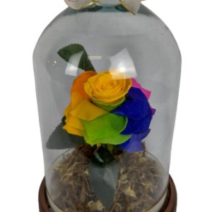 Rosa Encantada Arco-Íris Preservada